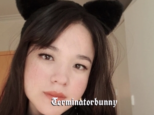 Terminatorbunny